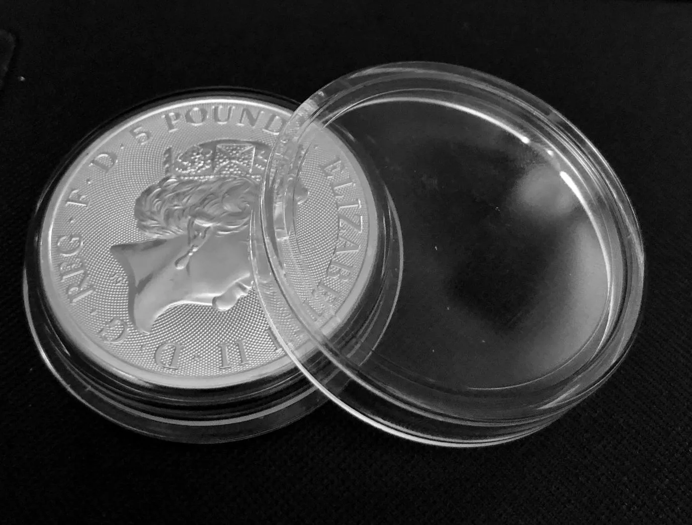 Bullion Coin Capsule