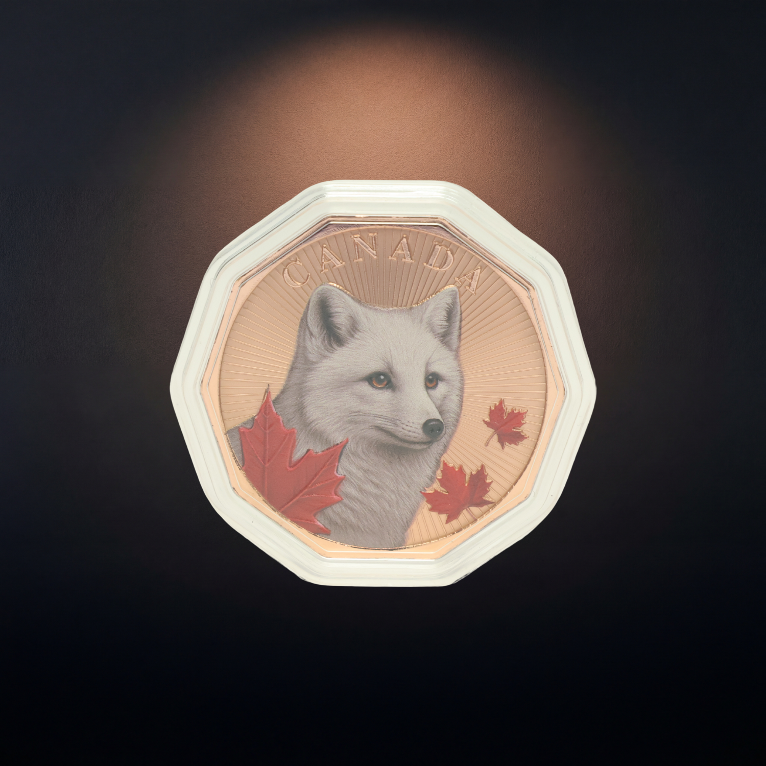 Guardians of the North Series – Arctic Fox 1oz .999 Copper Coin (Colored Edition) 3 of 5