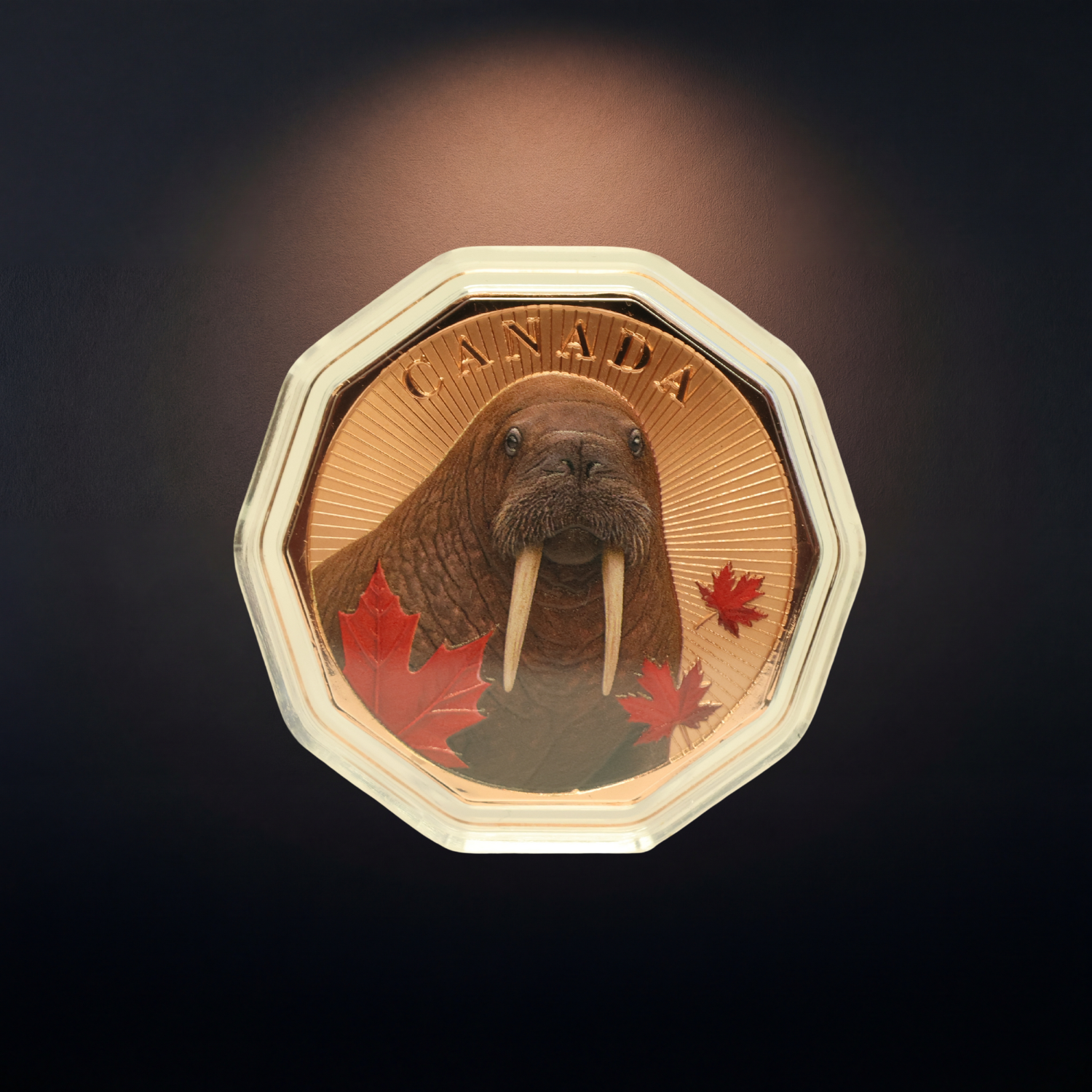 Guardians of the North Series – Walrus 1oz .999 Copper Coin (Colored Edition) 4 of 5