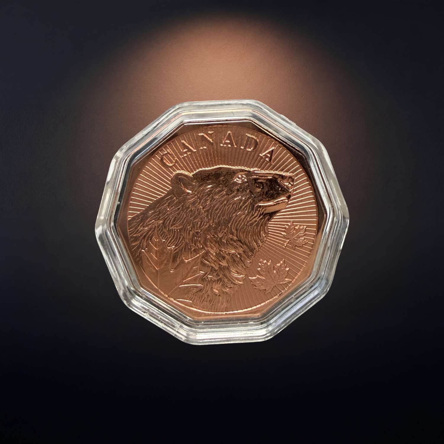 Guardians of the North Series – Polar Bear 1oz .999 Copper Coin (Non-Colored Edition) 1 of 5