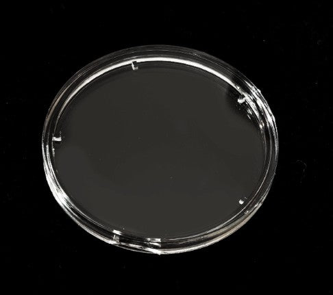 Zanica 37mm Premium Round Capsules Curved Bezel – 10 pack