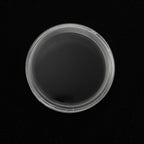 Zanica 2oz 38mm Premium runde Kapseln, flacher Rand – 10er-Pack