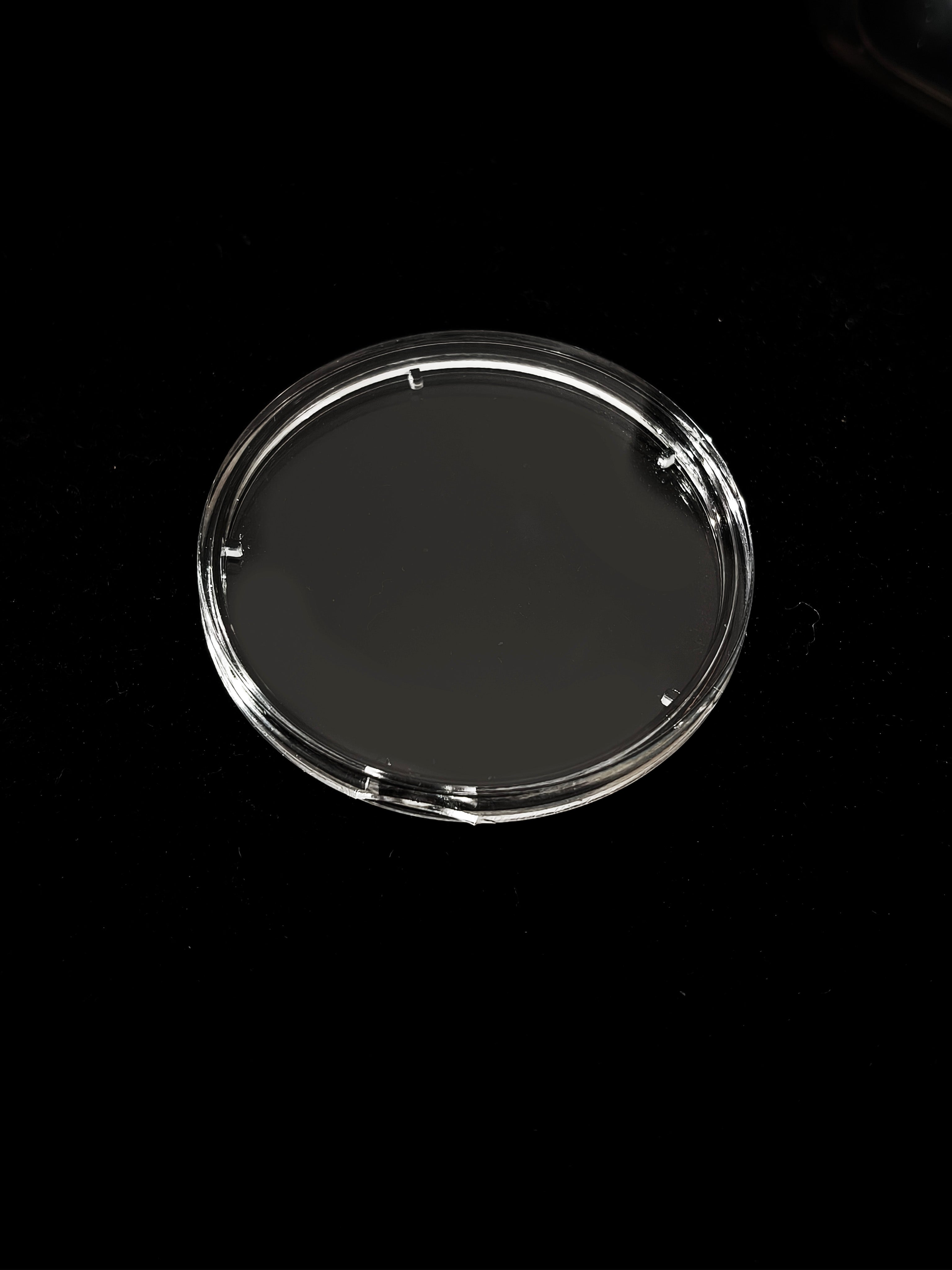 Zanica 38mm Premium Round Capsules Curved Bezel – 10 pack