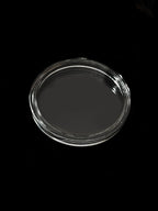 Zanica 39mm Premium runde Kapseln, flache Lünette – 10er-Pack