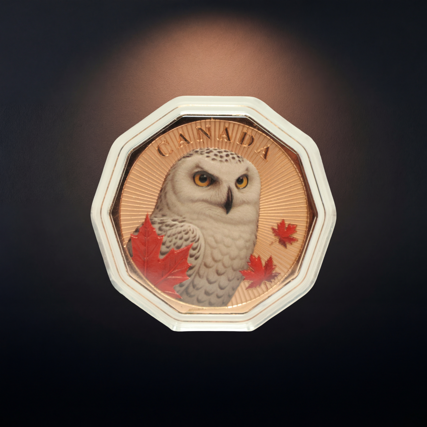 Guardians of the North Series – Snowy Owl 1oz .999 Copper Coin (Colored Edition) 2 of 5