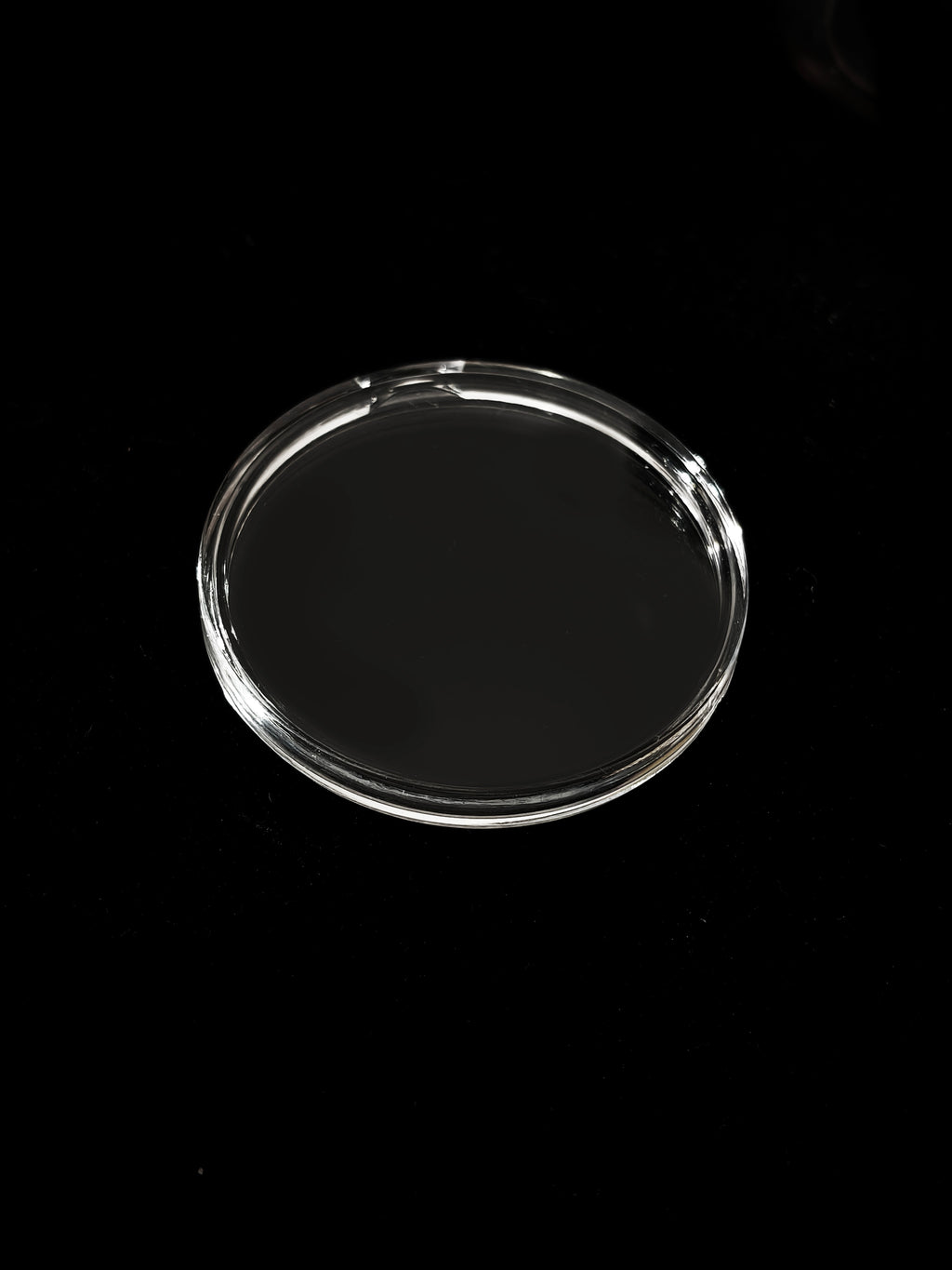 Zanica 40mm Premium Round Capsules Curved Bezel – 10 pack