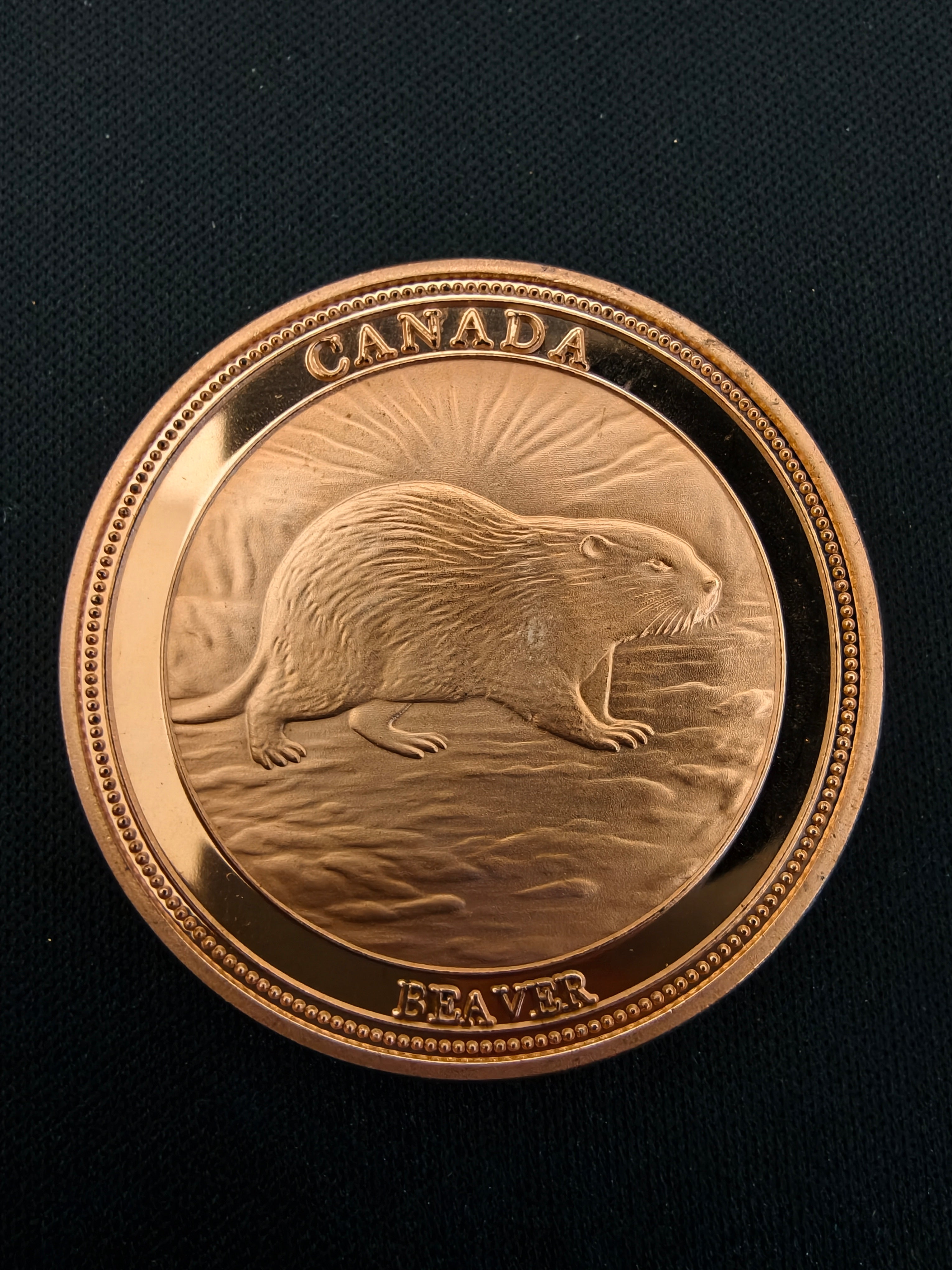 Canada Beaver 1oz .999 Fine Copper Round – Canadian Heritage Series