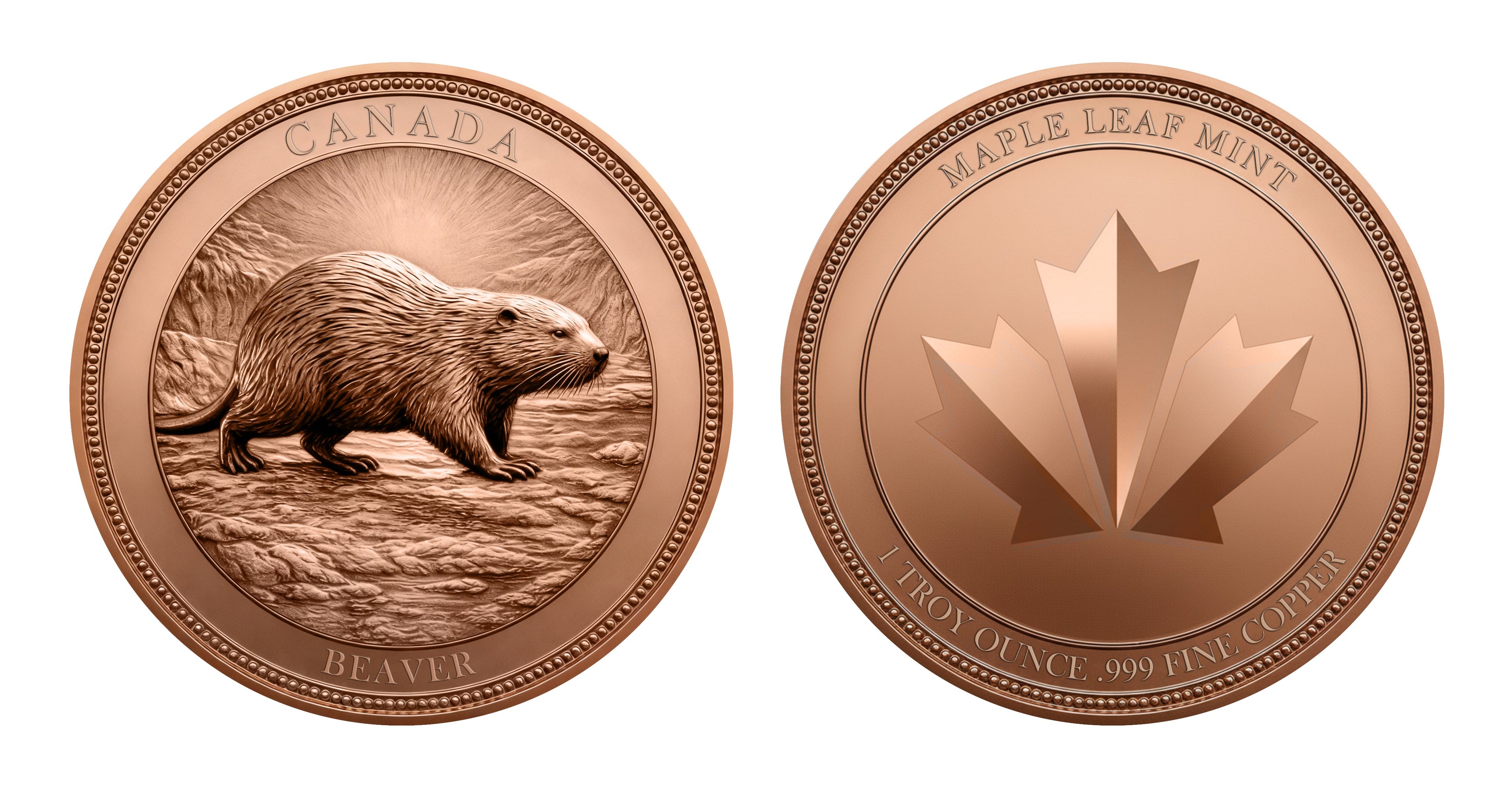Canada Beaver 1oz .999 Fine Copper Round – Canadian Heritage Series