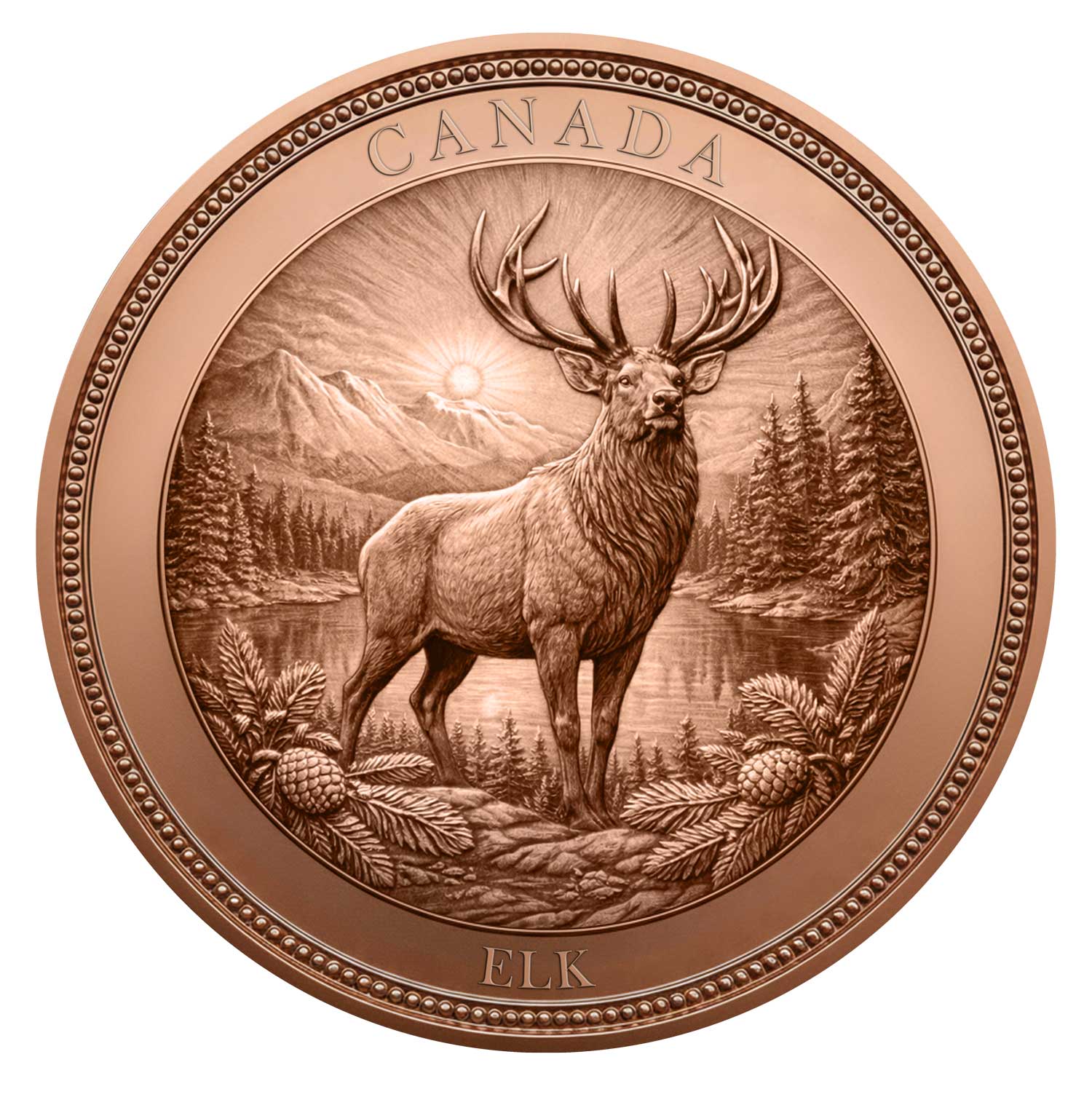 Kanada Elch 1oz .999 Feinkupfer Round – Kanadische Kulturerbe Serie | Maple Leaf Mint