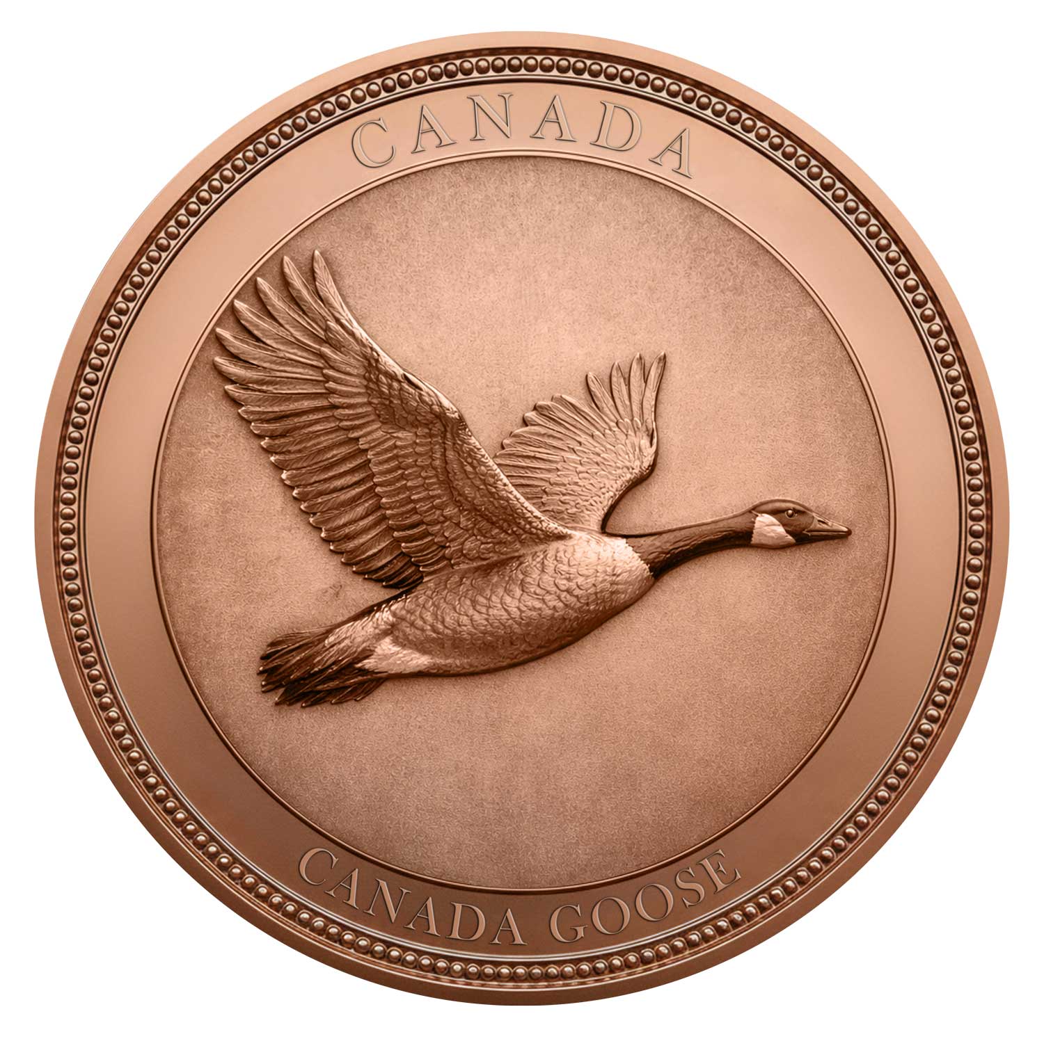 Kanada Elch 1oz .999 Feinkupfer Round – Kanadische Kulturerbe Serie | Maple Leaf Mint