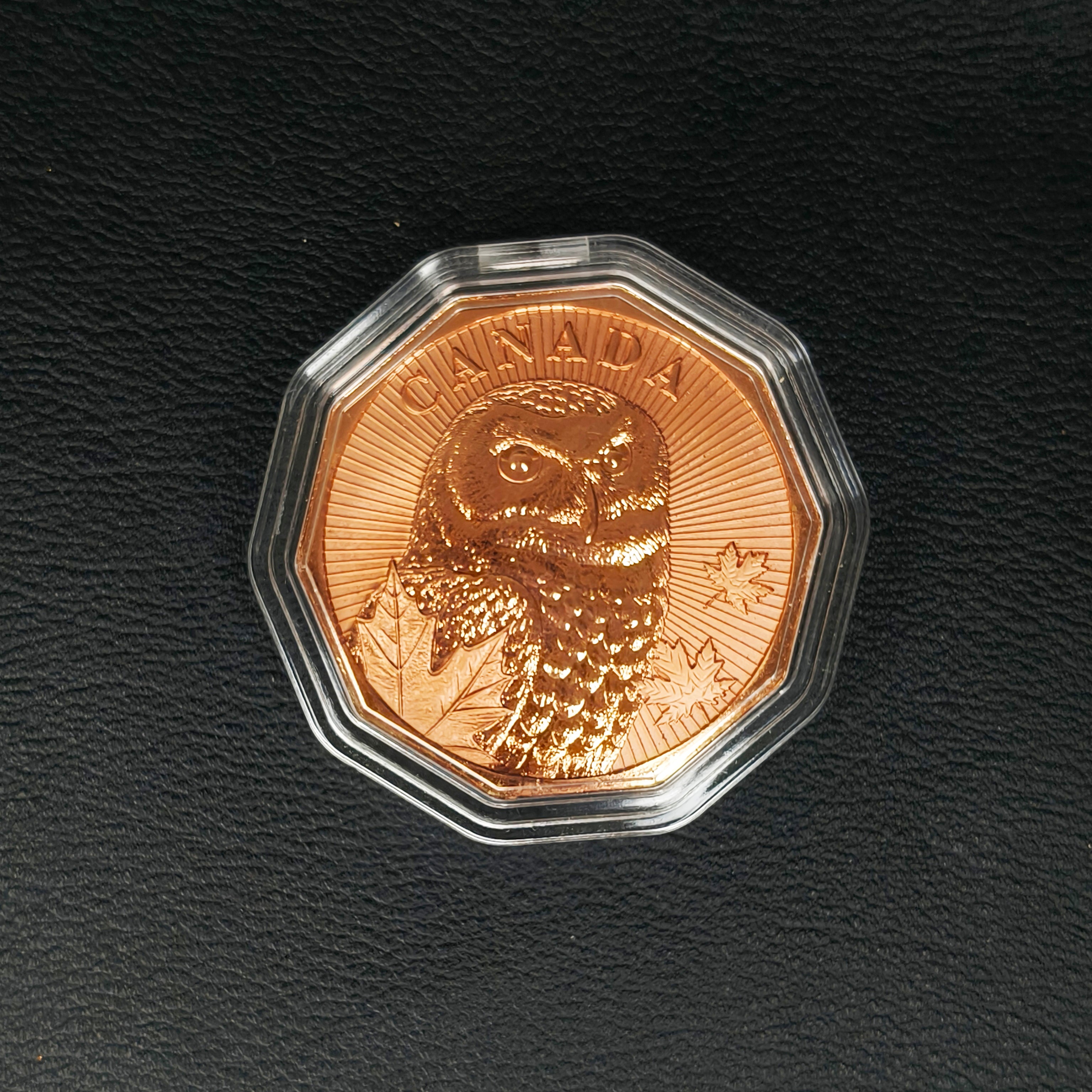 Guardians of the North Series – Snowy Owl 1oz .999 Copper Coin (Non-Colored Edition) 2 of 5