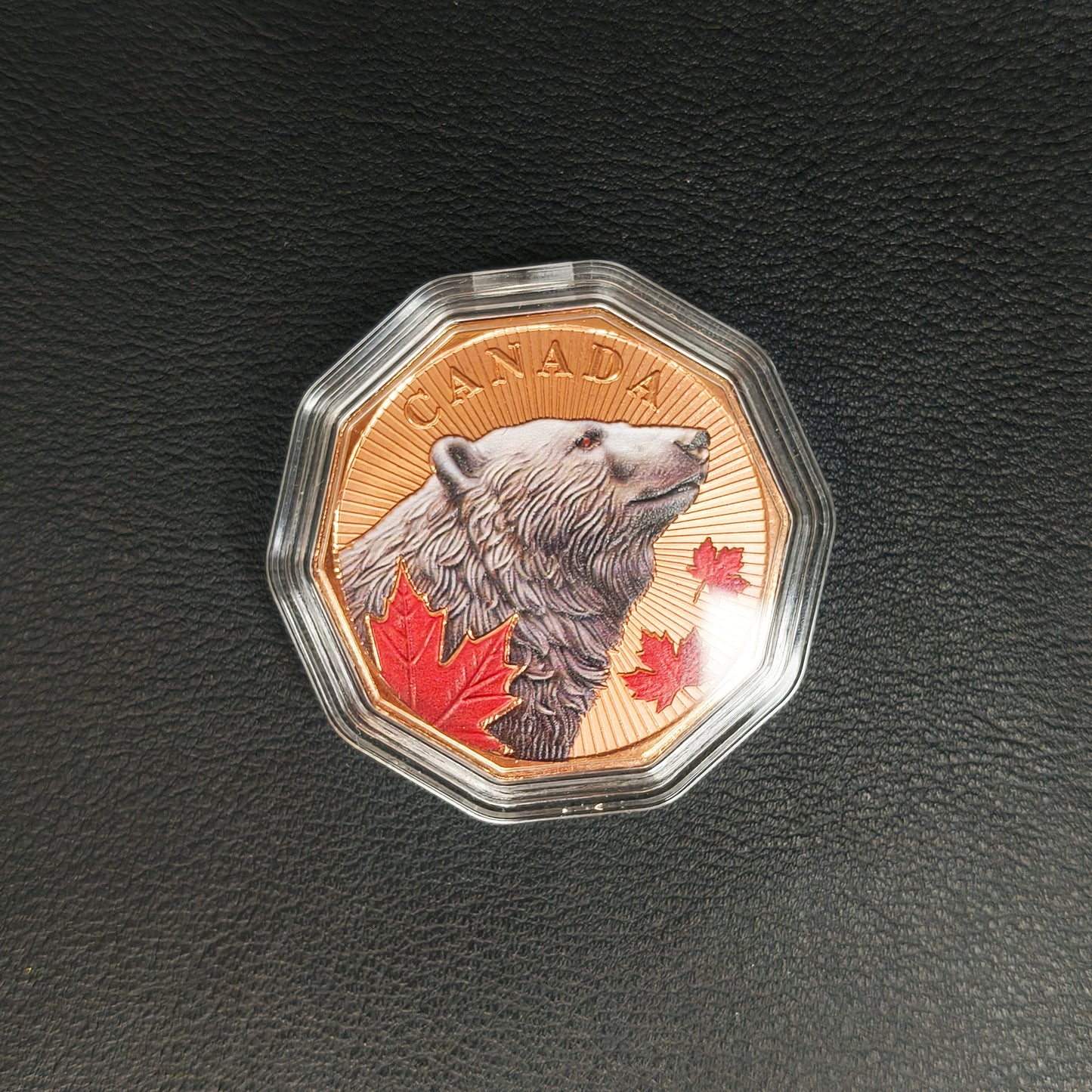 Guardians of the North Series – Polar Bear 1oz .999 Copper Coin (Colored Edition) 1 of 5