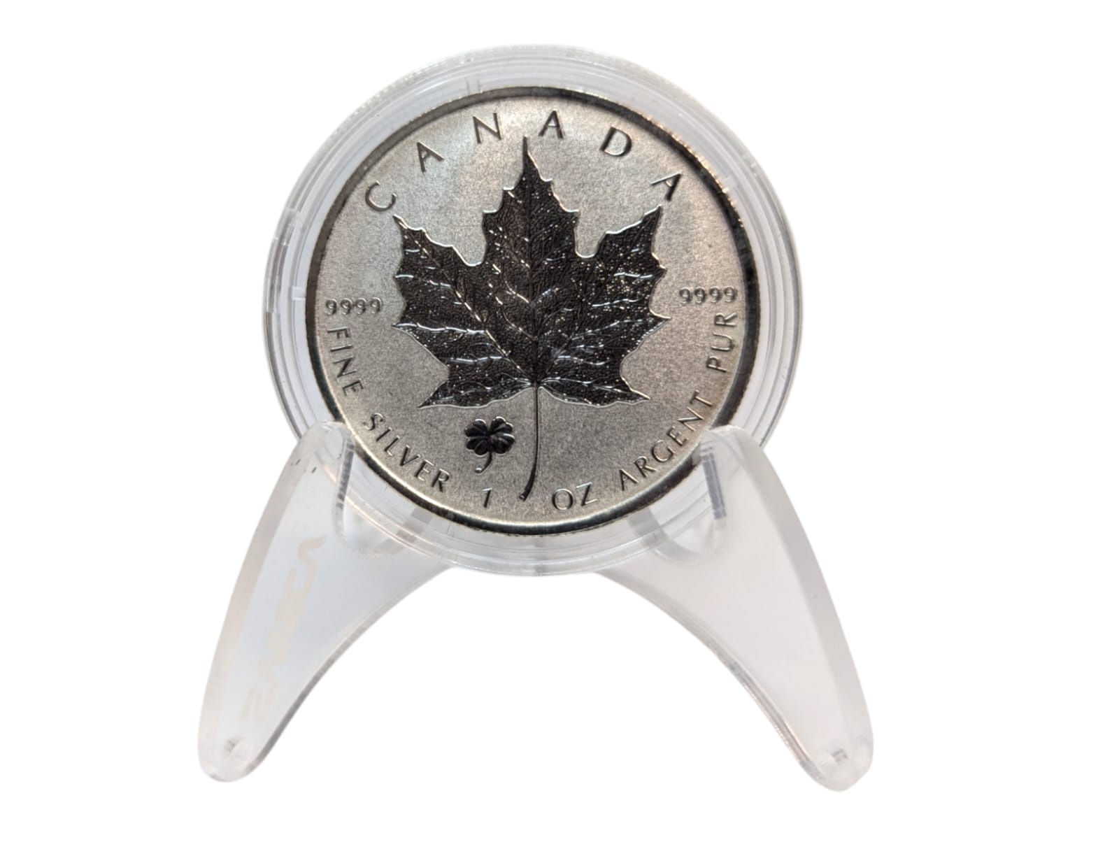 Zanica 38mm Premium Round Capsules Curved Bezel – 10 pack