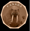 Guardians of the North Series – Walrus 1oz .999 Copper Coin (Non-Colored Edition) 4 of 5