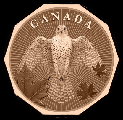 Guardians of the North Series – Gyrfalcon 1oz .999 Copper Coin (Non-Colored Edition) 5 of 5