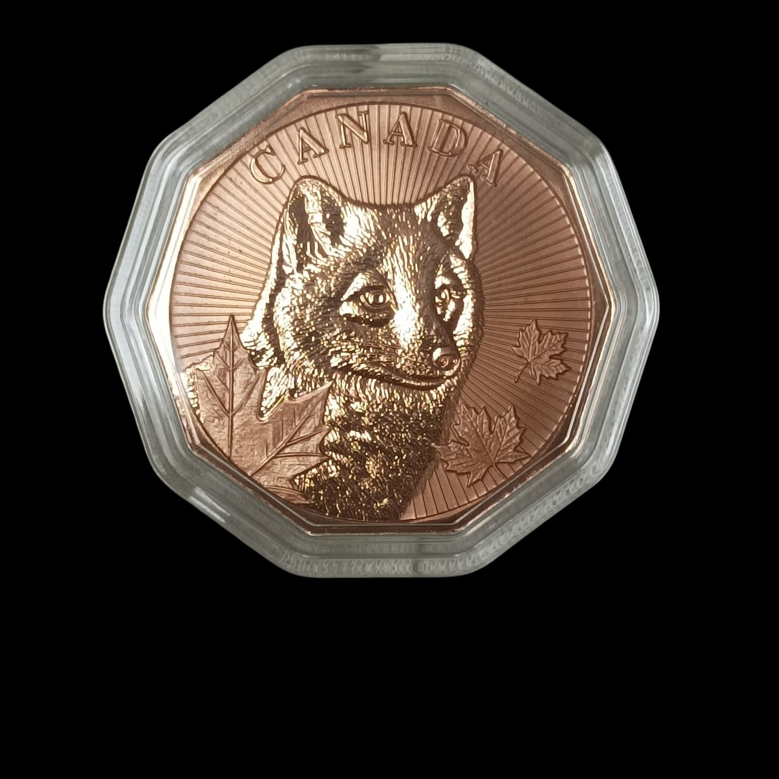 Guardians of the North Series – Arctic Fox 1oz .999 Copper Coin (Non-Colored Edition) 3 of 5