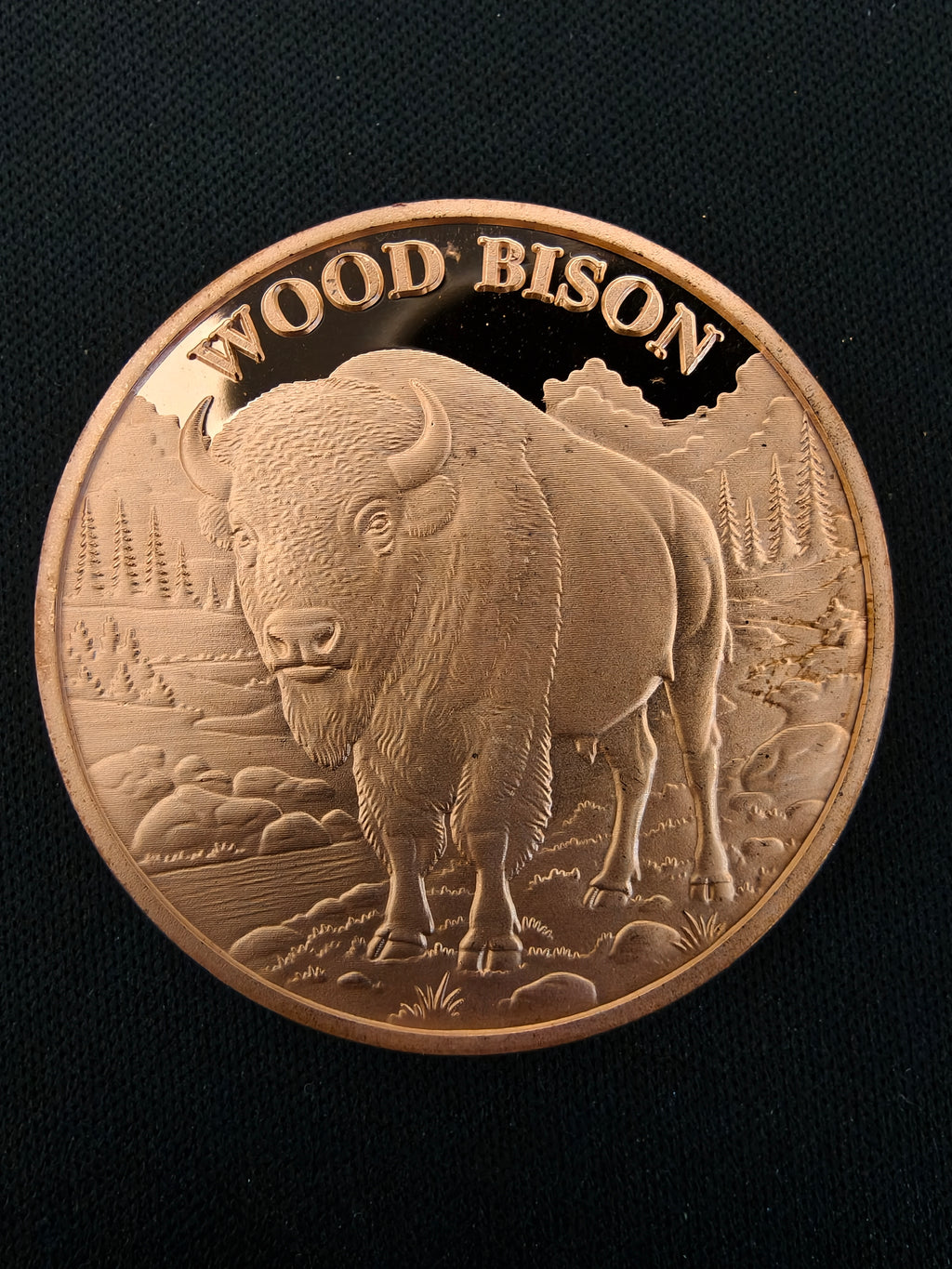 Wood Bison 1oz .999 Fine Copper Round – Hunting Series | Maple Leaf Mint